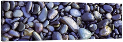 Close-up of pebbles, Sandymouth Beach, Cornwall, England Canvas Art Print