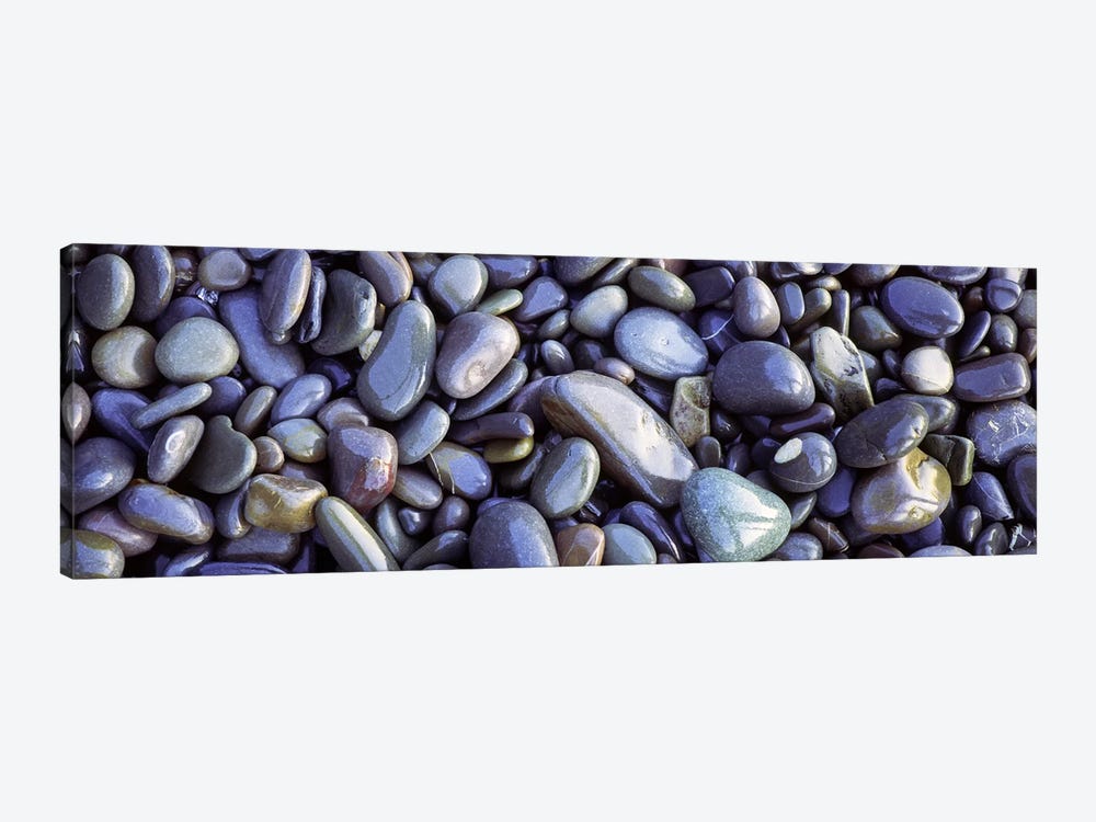 Close-up of pebbles, Sandymouth Beach, Cornwall, England by Panoramic Images 1-piece Canvas Wall Art