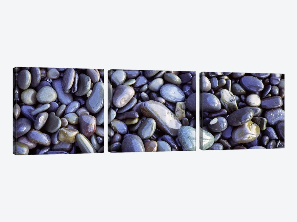 Close-up of pebbles, Sandymouth Beach, Cornwall, England by Panoramic Images 3-piece Canvas Wall Art