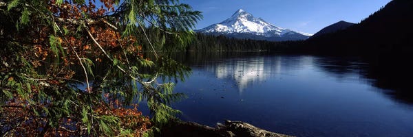 Reflection of a mountain in a lake, Mt Hood, Lost Lake, Mt. Hood National Forest, Hood River County, Oregon, USA