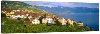 Village Rivaz between Vineyards & Mts. Lake Geneva Switzerland Canvas Art Print - Switzerland Art