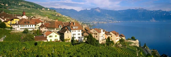 Geneva: Village Rivaz between Vineyards & Mts. Lake Geneva Switzerland by Panoramic Images