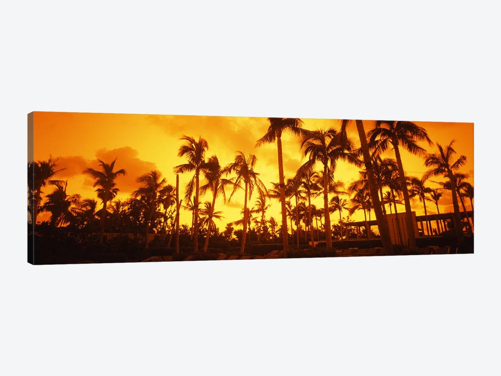 Palm trees on the beach, The Setai Hotel, South Beach, Miami Beach, Florida, USA by Panoramic Images 1-piece Canvas Wall Art
