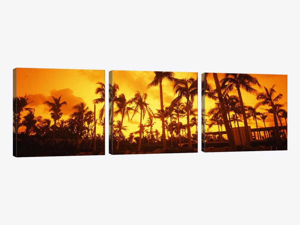 Palm trees on the beach, The Setai Hotel, South Beach, Miami Beach, Florida, USA by Panoramic Images 3-piece Canvas Artwork