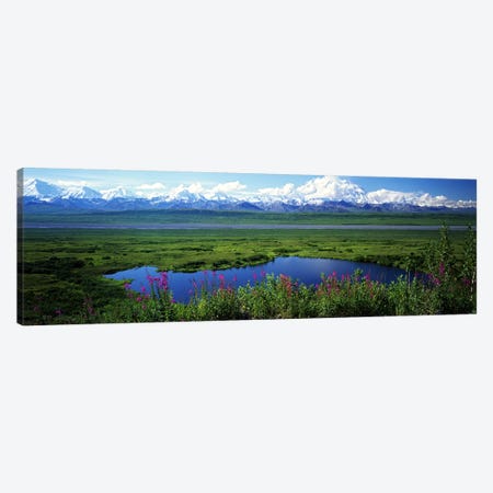 Spring Landscape, Denali National Park, Alaska, USA Canvas Print #PIM6723} by Panoramic Images Canvas Art Print