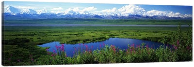 Spring Landscape, Denali National Park, Alaska, USA Canvas Art Print - Denali National Park & Preserve