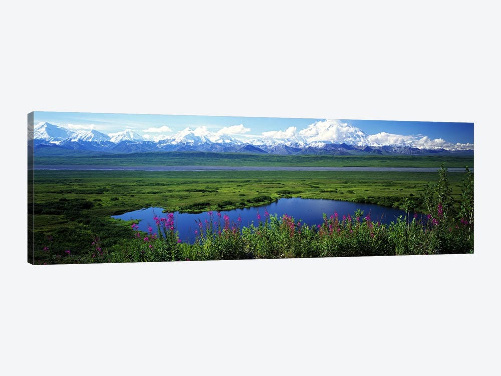 Spring Landscape, Denali National Park, Alaska, USA by Panoramic Images 1-piece Canvas Wall Art