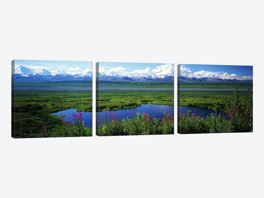 Spring Landscape, Denali National Park, Alaska, USA by Panoramic Images 3-piece Canvas Artwork
