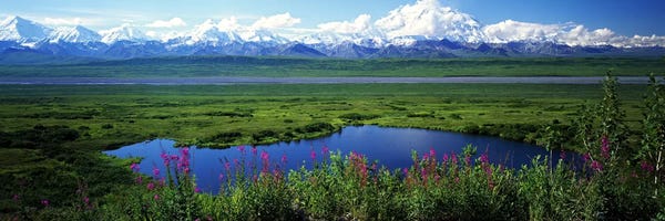 Denali National Park & Preserve: Spring Landscape, Denali National Park, Alaska, USA by Panoramic Images