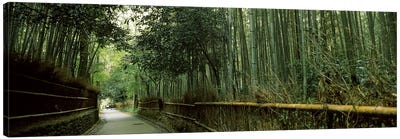 Road passing through a bamboo forest, Arashiyama, Kyoto Prefecture, Kinki Region, Honshu, Japan Canvas Art Print - Japan Art