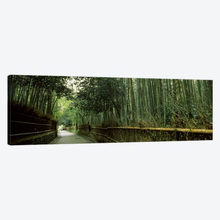 Road passing through a bamboo forest, Arashiyama, Kyoto Prefecture, Kinki Region, Honshu, Japan Canvas Print #PIM6812} by Panoramic Images Canvas Print