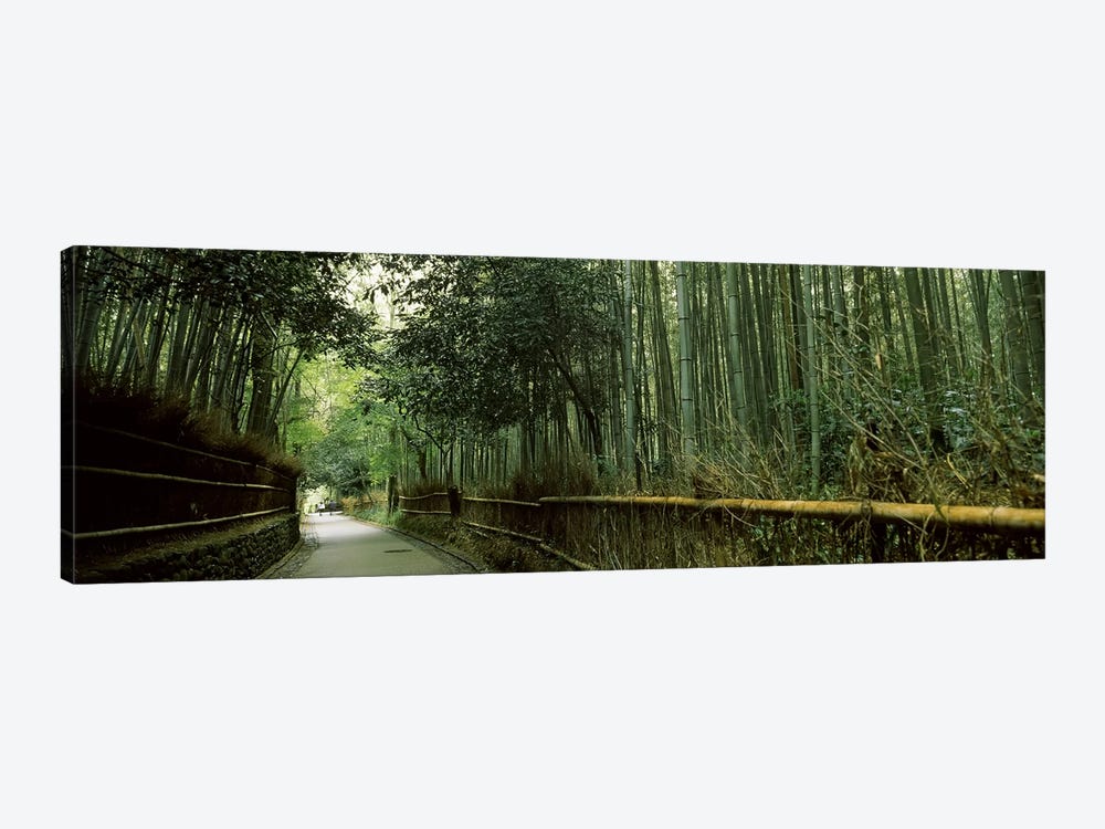 Road passing through a bamboo forest, Arashiyama, Kyoto Prefecture, Kinki Region, Honshu, Japan by Panoramic Images 1-piece Canvas Art