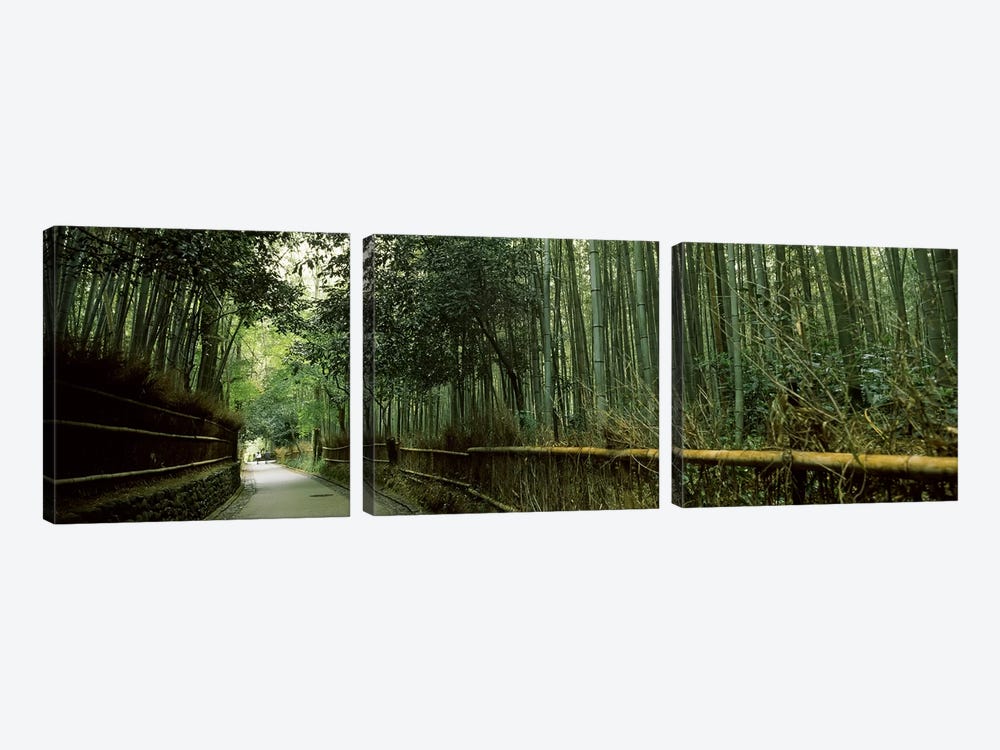 Road passing through a bamboo forest, Arashiyama, Kyoto Prefecture, Kinki Region, Honshu, Japan by Panoramic Images 3-piece Canvas Art