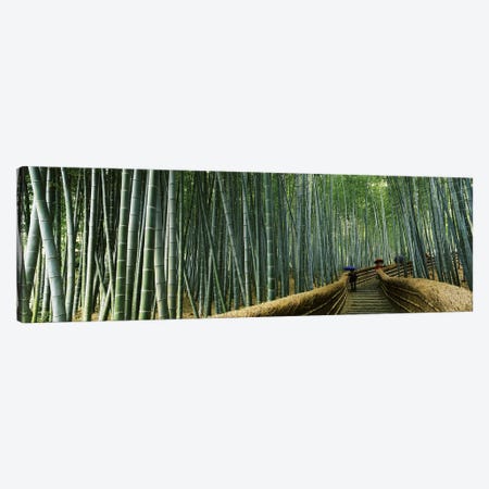 Stepped walkway passing through a bamboo forest, Arashiyama, Kyoto Prefecture, Kinki Region, Honshu, Japan Canvas Print #PIM6814} by Panoramic Images Canvas Wall Art