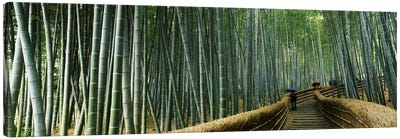 Stepped walkway passing through a bamboo forest, Arashiyama, Kyoto Prefecture, Kinki Region, Honshu, Japan Canvas Art Print - Nature Panoramics