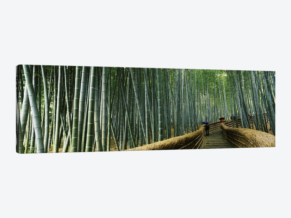 Stepped walkway passing through a bamboo forest, Arashiyama, Kyoto Prefecture, Kinki Region, Honshu, Japan by Panoramic Images 1-piece Canvas Art
