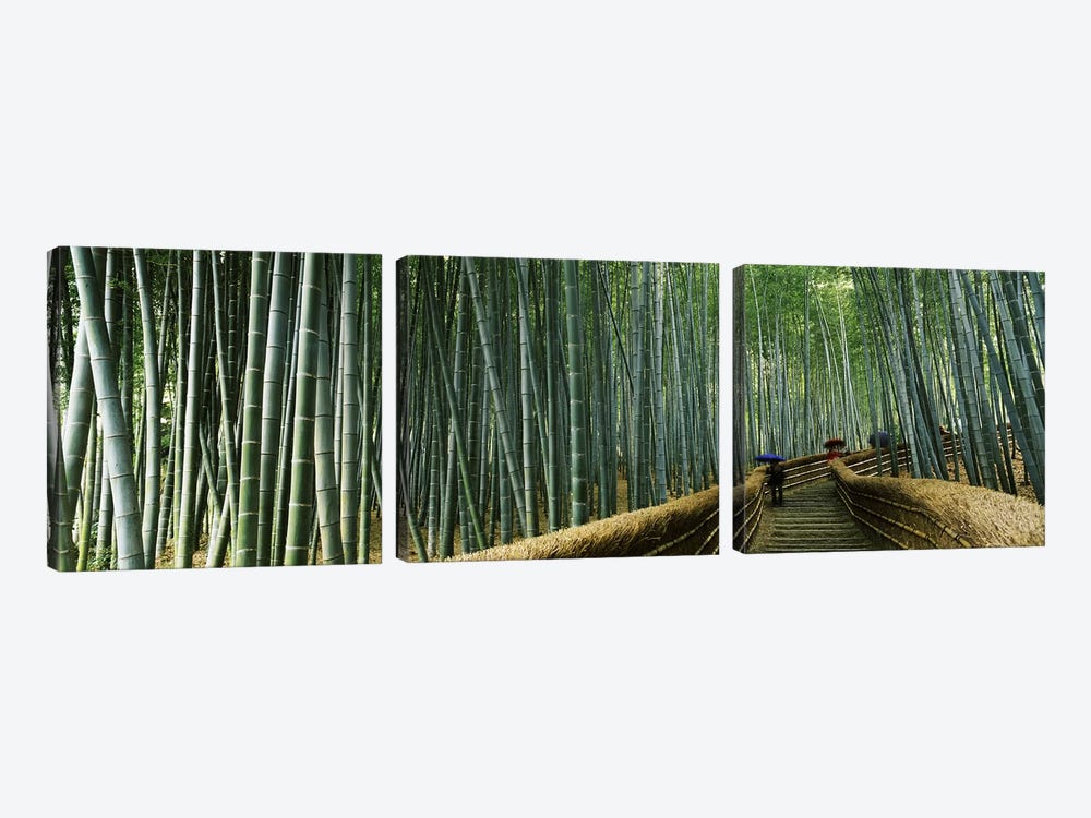 Stepped walkway passing through a bamboo forest, Arashiyama, Kyoto Prefecture, Kinki Region, Honshu, Japan by Panoramic Images 3-piece Canvas Wall Art