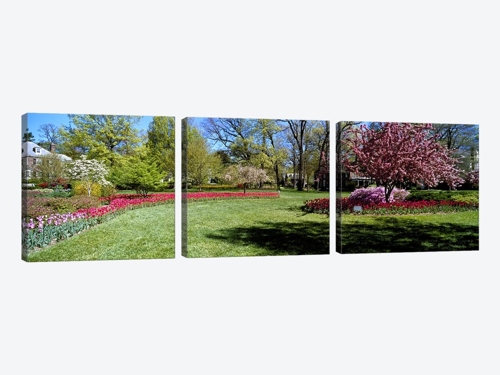 Tulips and cherry trees in a garden, Sherwood Gardens, Baltimore, Maryland, USA by Panoramic Images 3-piece Canvas Wall Art