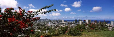 High angle view of a cityscape, Honolulu, Oahu, Hawaii, USA by Panoramic Images multi panel art