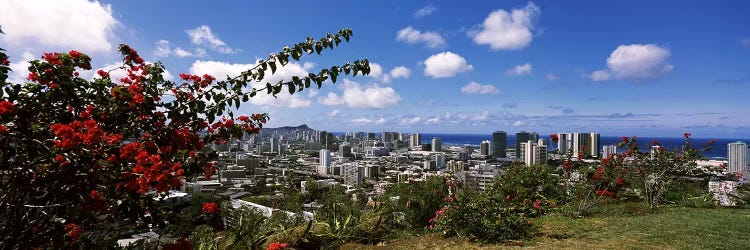 High angle view of a cityscape, Honolulu, Oahu, Hawaii, USA