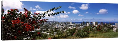 High angle view of a cityscape, Honolulu, Oahu, Hawaii, USA Canvas Art Print - Garden & Floral Landscape Art