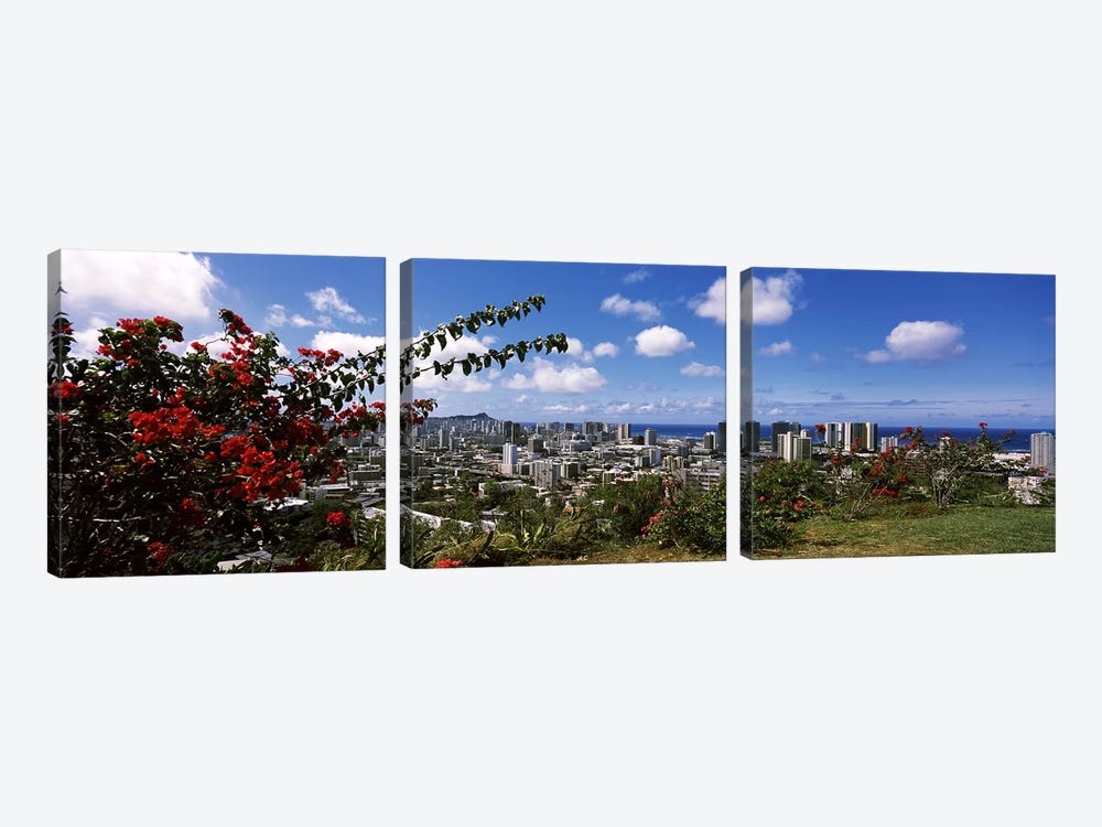 High angle view of a cityscape, Honolulu, Oahu, Hawaii, USA by Panoramic Images 3-piece Art Print