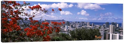 High angle view of a cityscape, Honolulu, Oahu, Hawaii, USA #2 Canvas Art Print - Honolulu Art