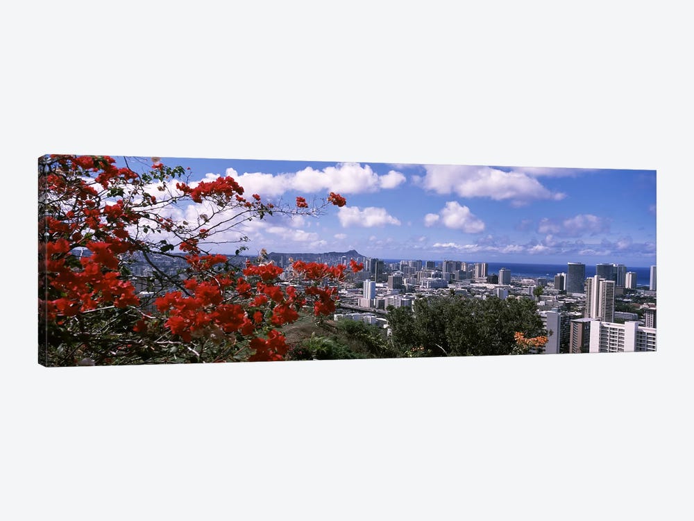 High angle view of a cityscape, Honolulu, Oahu, Hawaii, USA #2 by Panoramic Images 1-piece Canvas Wall Art