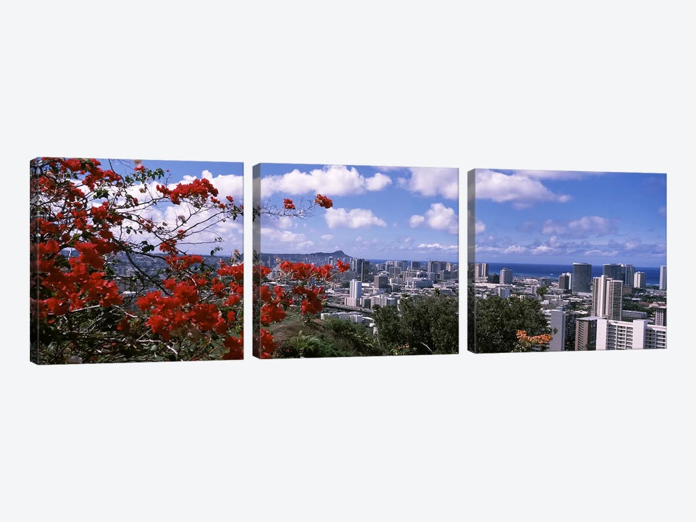 High angle view of a cityscape, Honolulu, Oahu, Hawaii, USA #2 by Panoramic Images 3-piece Canvas Artwork