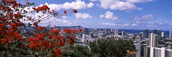 Honolulu: High angle view of a cityscape, Honolulu, Oahu, Hawaii, USA #2 by Panoramic Images