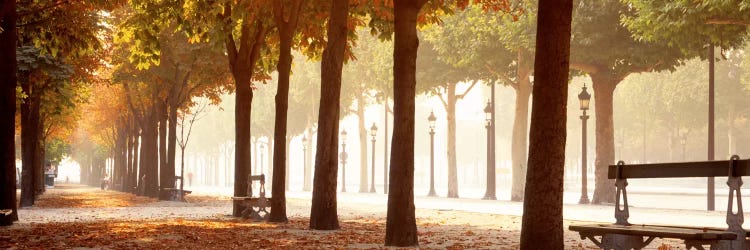 Pedestrian Walkway Along Avenue des Champs-Elysees, Paris, Ile-de-France, France