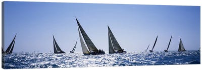 Sailboats racing in the sea, Farr 40's race during Key West Race Week, Key West Florida, 2000 Canvas Art Print - Sailboat Art
