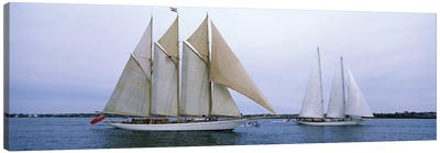 Schooners Under Way, Narragansett Bay, Newport, Rhode Island, USA Canvas Art Print - Yacht Art