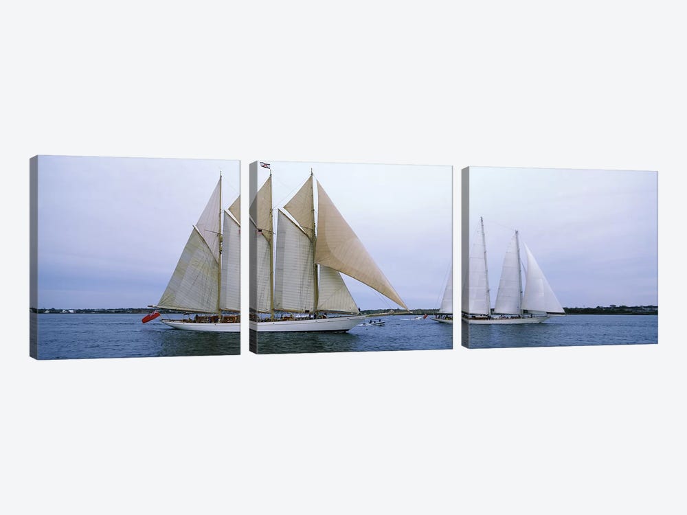 Schooners Under Way, Narragansett Bay, Newport, Rhode Island, USA by Panoramic Images 3-piece Art Print