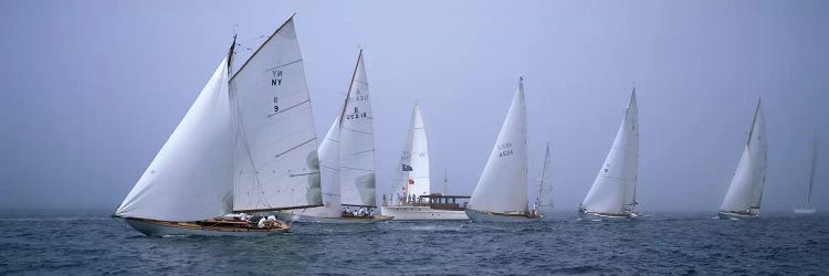 Yachts racing in the ocean, Annual Museum Of Yachting Classic Yacht Regatta, Newport, Newport County, Rhode Island, USA