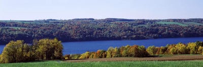 Trees at the lakeside, Owasco Lake, Finger Lakes, New York State, USA by Panoramic Images canvas print