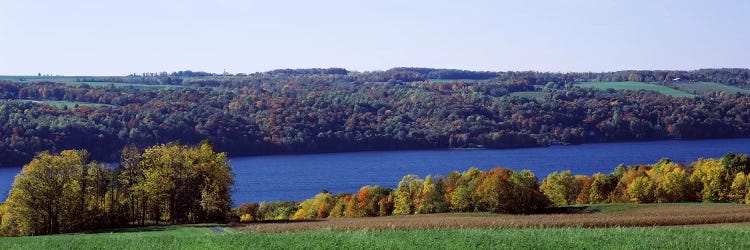 Trees at the lakeside, Owasco Lake, Finger Lakes, New York State, USA