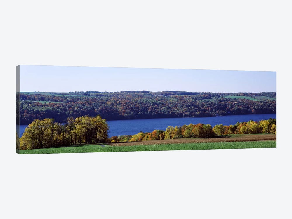 Trees at the lakeside, Owasco Lake, Finger Lakes, New York State, USA by Panoramic Images 1-piece Canvas Art