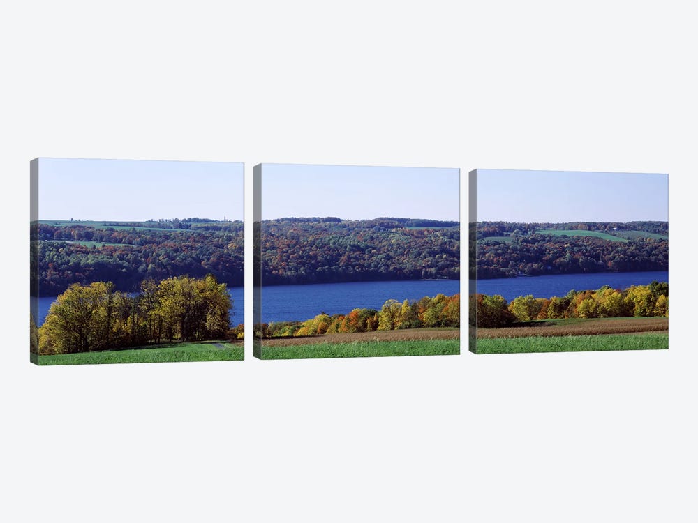 Trees at the lakeside, Owasco Lake, Finger Lakes, New York State, USA by Panoramic Images 3-piece Canvas Art