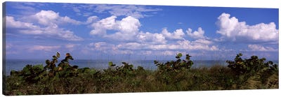 Clouds over the sea, Tampa Bay, Gulf Of Mexico, Anna Maria Island, Manatee County, Florida, USA Canvas Art Print - Tampa Bay