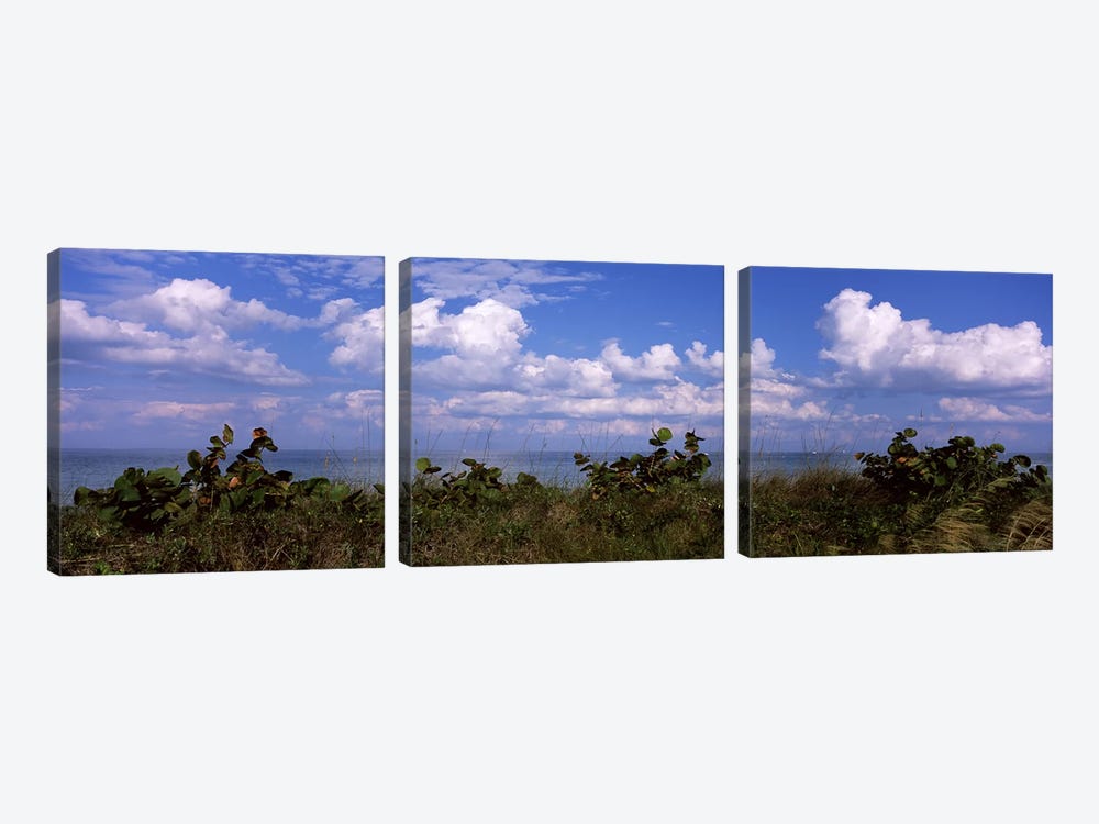 Clouds over the sea, Tampa Bay, Gulf Of Mexico, Anna Maria Island, Manatee County, Florida, USA by Panoramic Images 3-piece Canvas Print