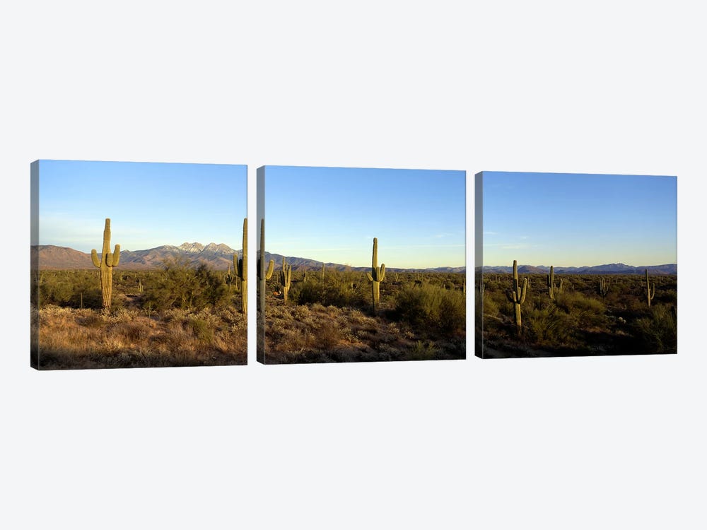 Desert Landscape With Four Peaks In The Background, Maricopa County, Arizona, USA by Panoramic Images 3-piece Canvas Artwork