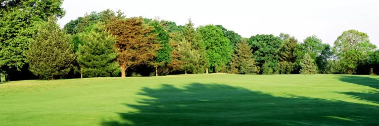 Trees on a golf courseWoodholme Country Club, Baltimore, Maryland, USA