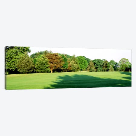 Trees on a golf courseWoodholme Country Club, Baltimore, Maryland, USA Canvas Print #PIM693} by Panoramic Images Canvas Print