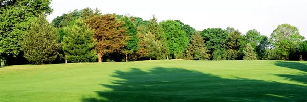 Golf Courses: Trees on a golf courseWoodholme Country Club, Baltimore, Maryland, USA by Panoramic Images