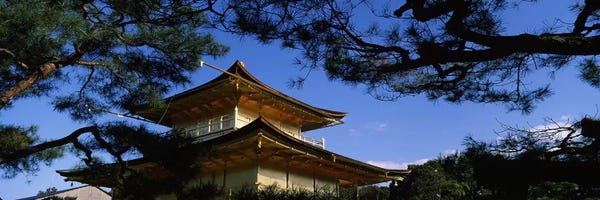 Kyoto: Low angle view of trees in front of a temple, Kinkaku-ji Temple, Kyoto City, Kyoto Prefecture, Kinki Region, Honshu, Japan by Panoramic Images