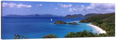 High-Angle View Of Trunk Bay, Virgin Islands National Park, St. John, United States Virgin Islands Canvas Art Print - Caribbean Art