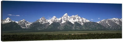 Trees in a forest with mountains in the background, Teton Point Turnout, Teton Range, Grand Teton National Park, Wyoming, USA Canvas Art Print - Panoramic Photography