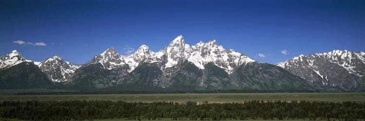 Trees in a forest with mountains in the background, Teton Point Turnout, Teton Range, Grand Teton National Park, Wyoming, USA