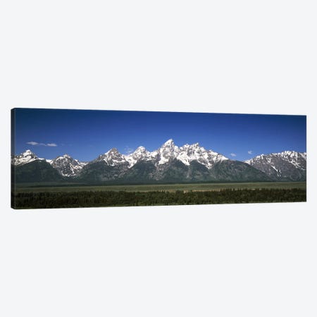 Trees in a forest with mountains in the background, Teton Point Turnout, Teton Range, Grand Teton National Park, Wyoming, USA Canvas Print #PIM6953} by Panoramic Images Canvas Artwork